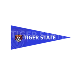 8" x 18" Full Color Felt Pennant