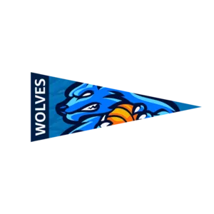 9" x 24" Full Color Felt Pennant - with Strip