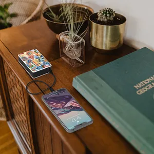 6,400 mAh Portable Power Bank with Solar Panel