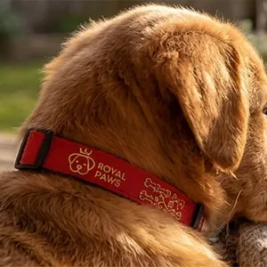 Dog Collar 20" X 3/4" Polyester