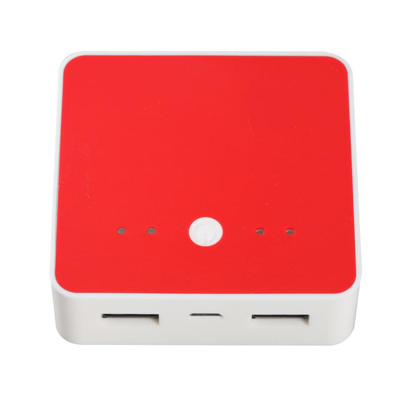 Lisse Charge-it-up Power Bank 2
