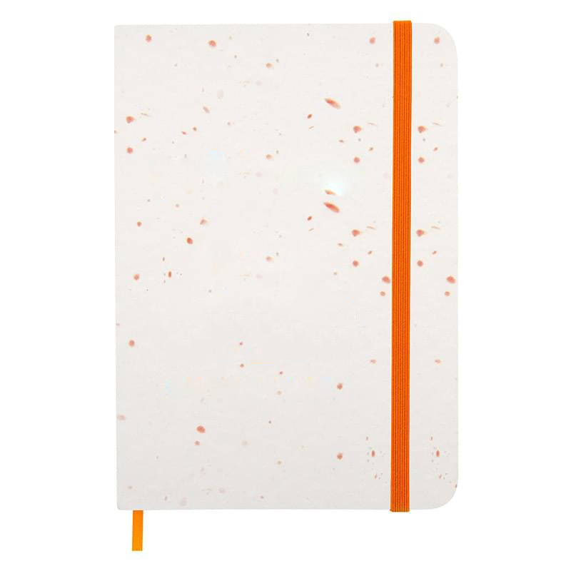 Custom Fresco Notebook 6