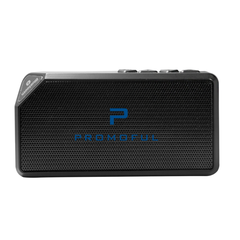 Bissell Bluetooth Speaker 2