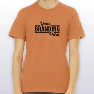 BELLA+CANVAS Unisex Jersey Short Sleeve Tee. BC3001