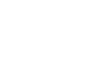 Modisoft logo