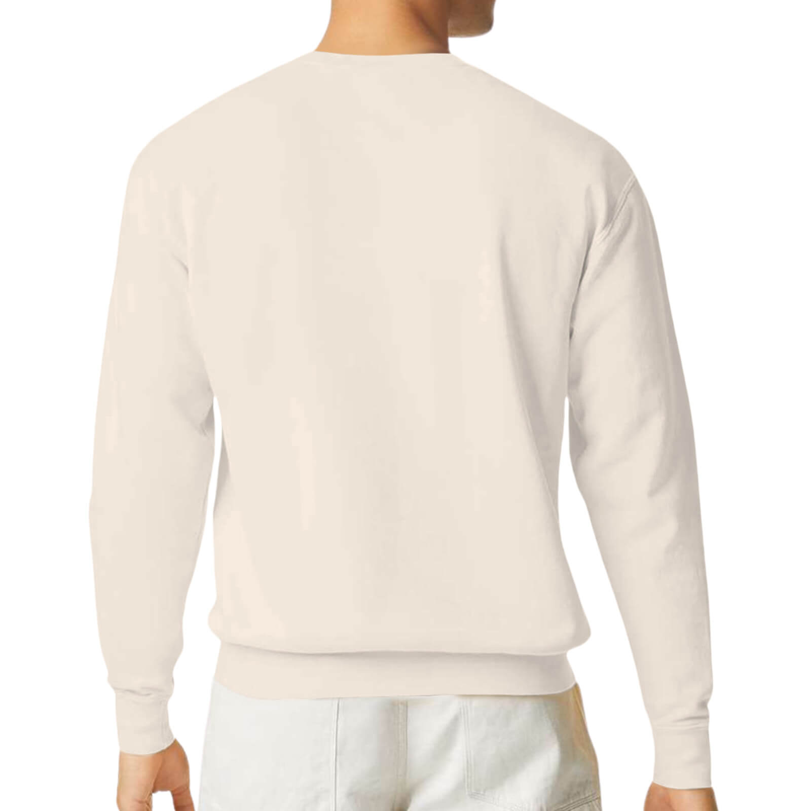 Unisex Lightweight Crewneck Sweatshirt Back