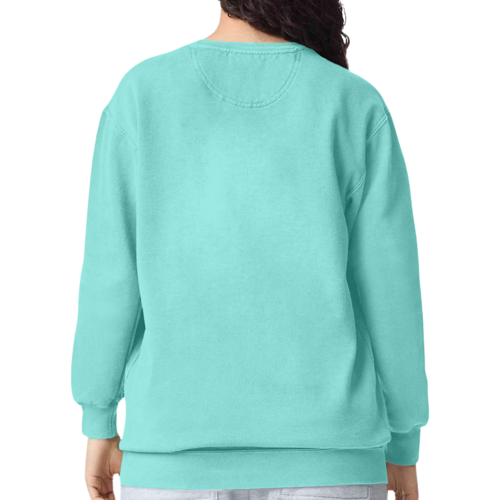 Unisex Garment-Dyed Sweatshirt Back