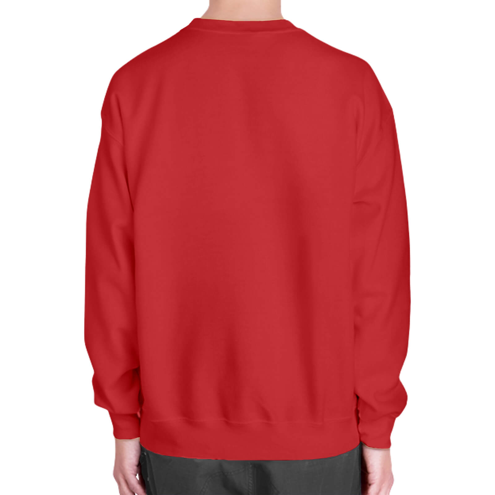 Unisex DryBlend® Crewneck Sweatshirt Back