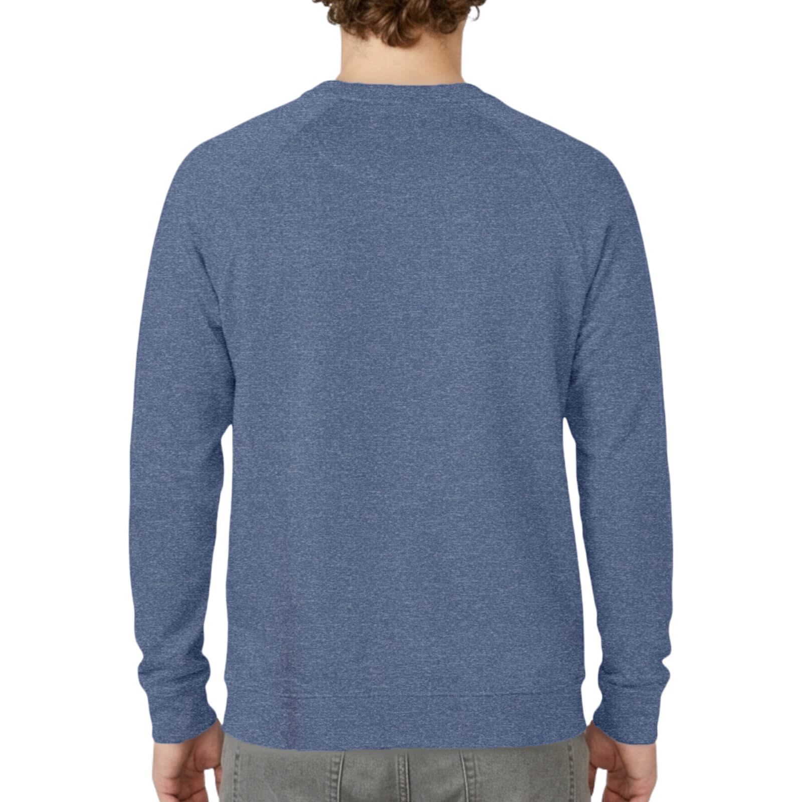 Unisex French Terry Raglan Crewneck Back