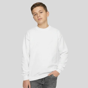 Youth Crewneck Sweatshirt Front
