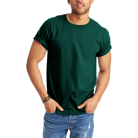 Hanes Men's Authentic T-Shirt