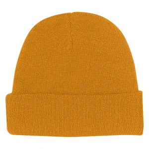 Knit Beanie with Cuff view 6