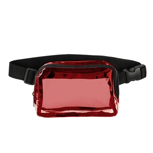 Clear Belt Bag view 2
