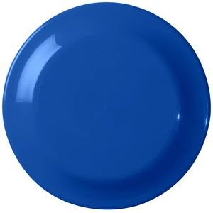 Large Discus view 2