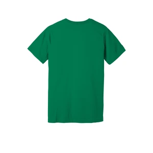 BELLA+CANVAS Unisex Jersey Short Sleeve Tee. BC3001 view 126