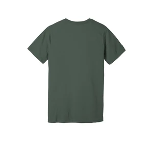 BELLA+CANVAS Unisex Jersey Short Sleeve Tee. BC3001 view 166