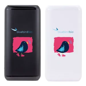 10,000 mAh Power Bank