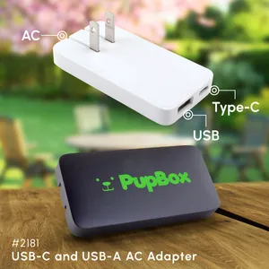 USB-C and USB-A AC Adapter