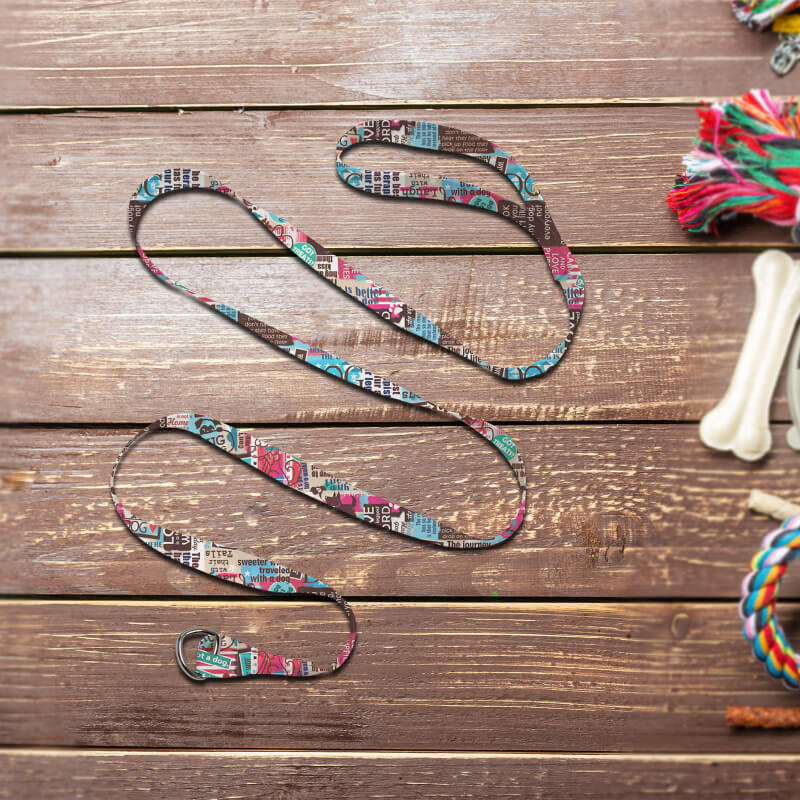 Pet Slip Leash