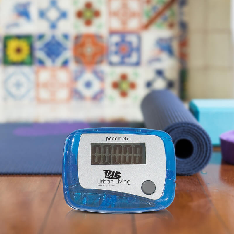 Pedometer