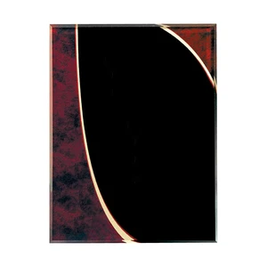 Small Halley Plaque view 4