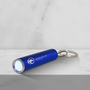 Ray Light Up LED Flashlight