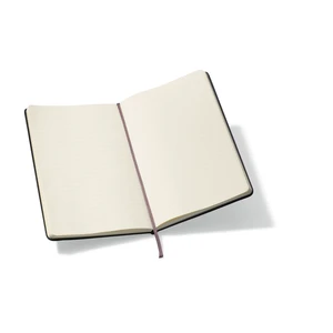 Moleskine® Hard Cover Ruled Large Notebook view 25