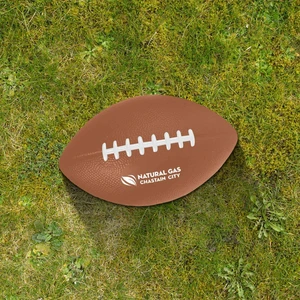 Large Football