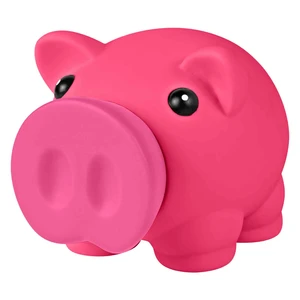 Mini Prosperous Piggy Bank view 2