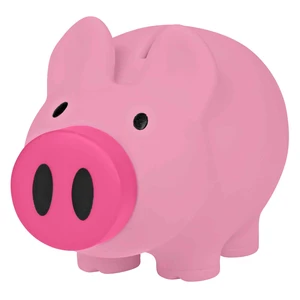Payday Piggy Bank view 5