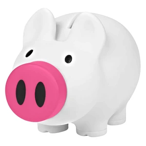 Payday Piggy Bank view 11