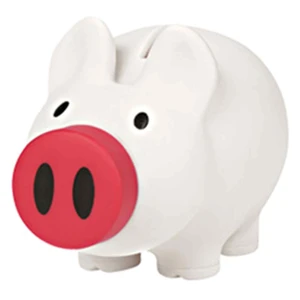 Payday Piggy Bank view 12