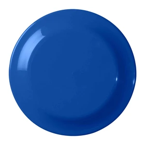 Custom Made Large Frisbee Discs view 2