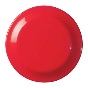 Custom Made Large Frisbee Discs view 4