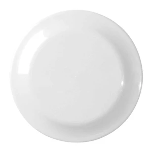 Custom Made Large Frisbee Discs view 5