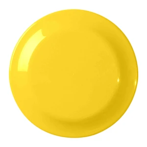 Custom Made Large Frisbee Discs view 6