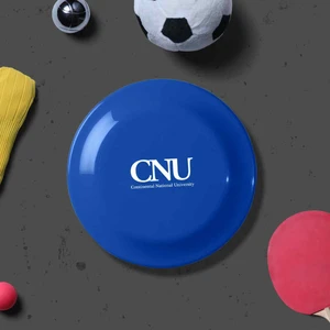 Custom Made Mini Frisbee Discs