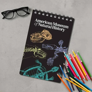 Powerstick Acron Side Bound Notebook